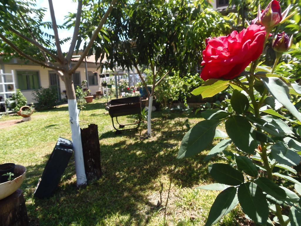 Meliza'S Garden Ξενοδοχείο Φοζ ντο Ιγκουασού Εξωτερικό φωτογραφία